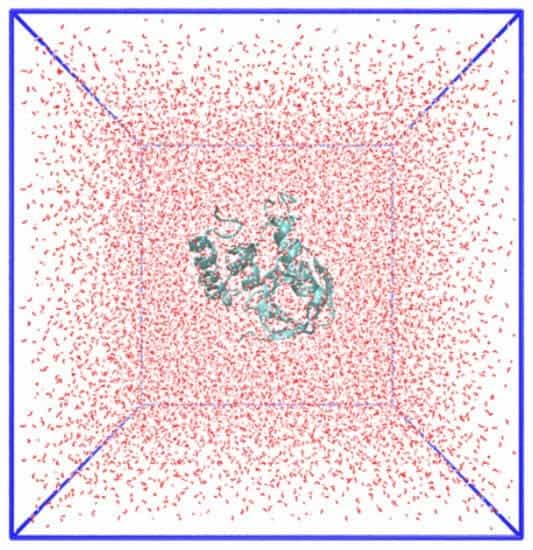 Molecular Docking & Molecular Dynamics (Computer Aided Drug Discovery)